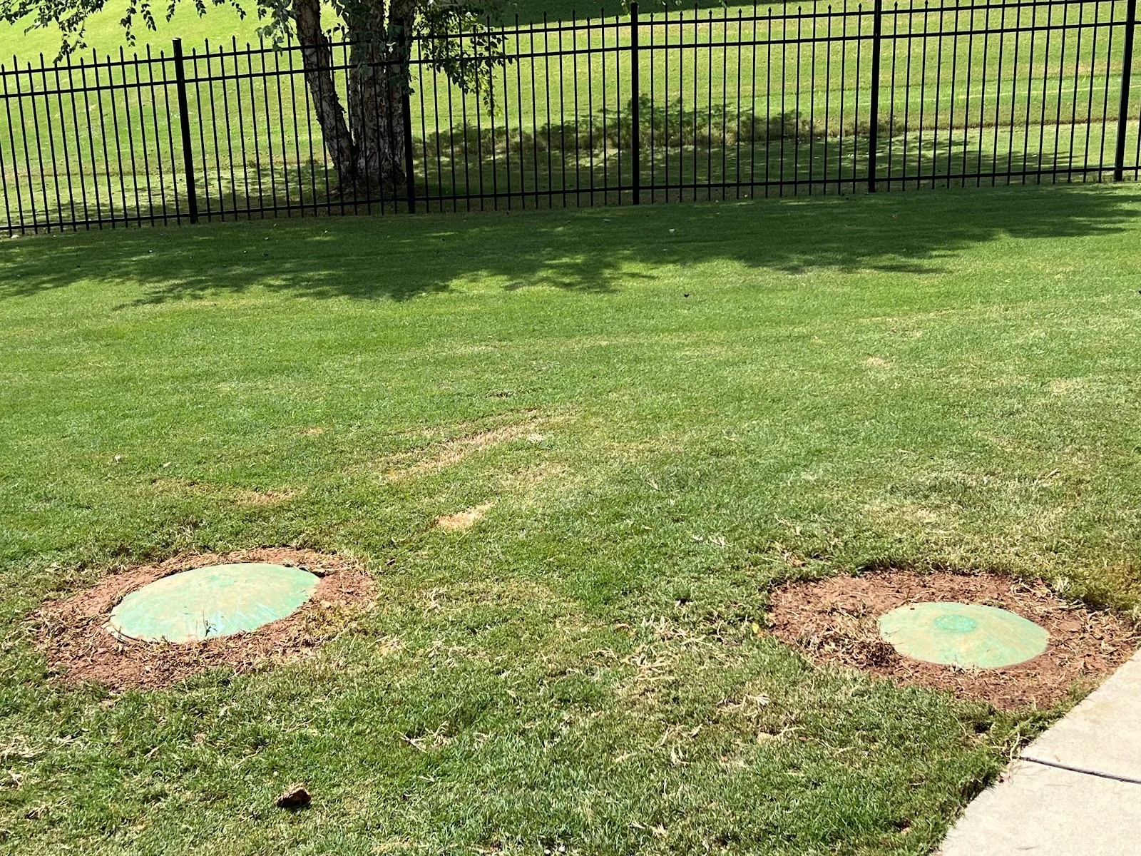 Two green septic access lids reset flush in the lawn after a pump-out