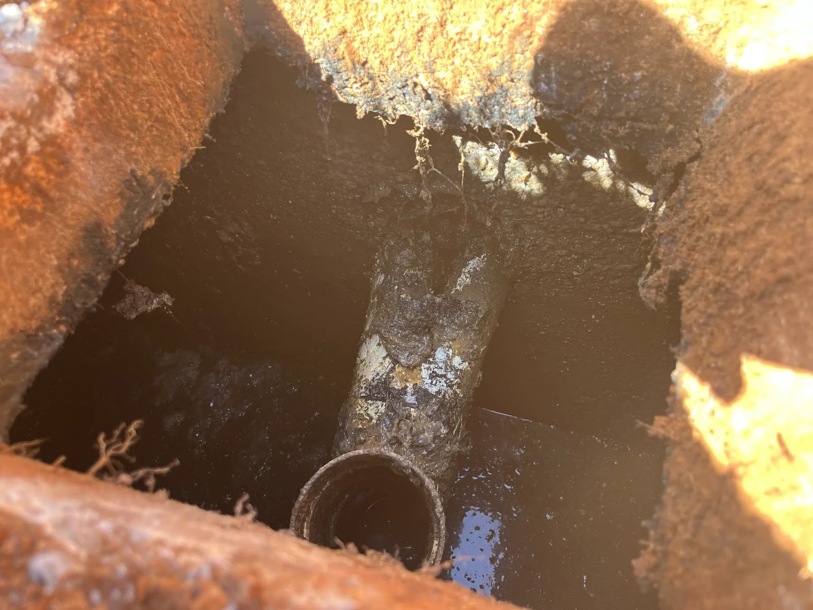 Inside a septic tank: the inlet baffle and effluent level during an inspection
