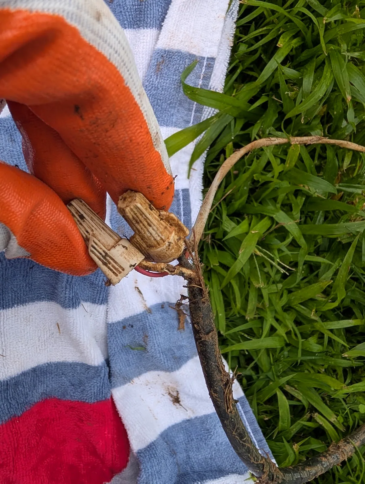 Close-up of an electrical repair on a septic pump control during a service call